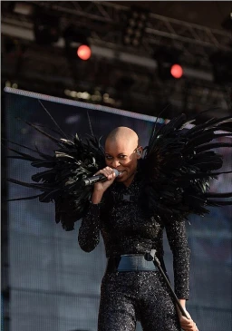 Skunk Anansie
