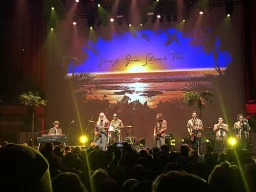 Young Gun Silver Fox