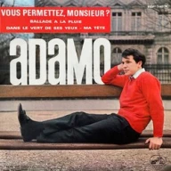 Vous Permettez, Monsieur