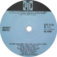 You're the First, the Last, My Everything