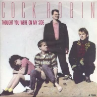 Thought You Were On My Side