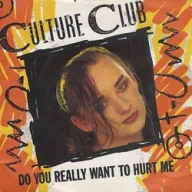 Do You Really Want To Hurt Me