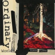 Ordinary World