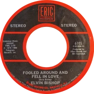 Fooled Around And Fell In Love