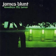 Goodbye My Lover