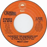 Paradise By The Dashboard Light