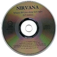 Where Did You Sleep Last Night (unplugged)