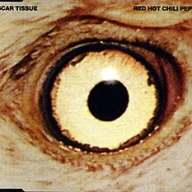 Scar Tissue