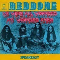 We Were All Wounded at Wounded Knee