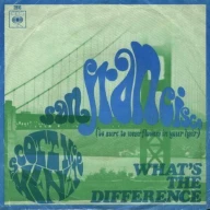 San Francisco (Be Sure to Wear Some Flowers in Your Hair)