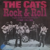 Rock 'n Roll (I Gave You the Best Years of my Life)