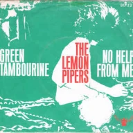 Green Tambourine