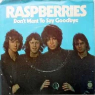 Don't Wanna Say Goodbye