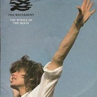 The Whole of the Moon