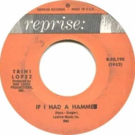 If I Had A Hammer