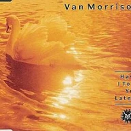 Have I Told You Lately (That I Love You)